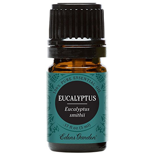 Edens Garden Eucalyptus Smithii Essential Oil 100 Pure Therapeutic Grade Congestion Inflammation 5 ml Edens Garden Eucalyptus Smithii Essential Oil 100 Pure Therapeutic Grade Congestion Inflammation 5 ml