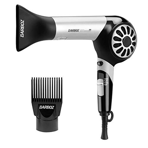 Hair Dryer Barboz Professional Ionic Ceramic Blow Dryer with Comb Concentrator Attachment Lightweight 1875 Watt Tourmaline Hair DryersQuiet HairdryerSilver  Black