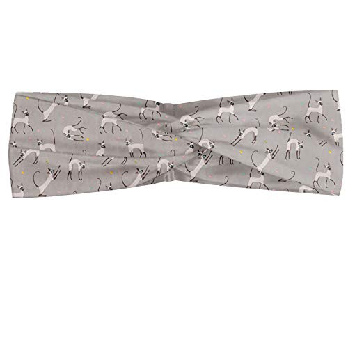 Ambesonne Grey Headband Siamese Cat on Wall Design Playing and Posing Feline Kitty Design Elastic and Soft Womens Bandana for Sports and Everyday Use Pale Grey Ambesonne Grey Headband Siamese Cat on Wall Design Playing and Posing Feline Kitty Design Elastic and Soft Womens Bandana for Sports and Everyday Use Pale Grey