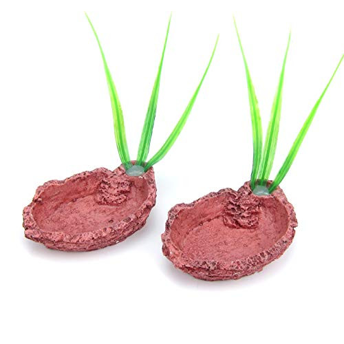 Alfie Pet  Niall 2Piece Set Feeder Dish for Turtles Reptiles and Amphibians with Liriope Grass