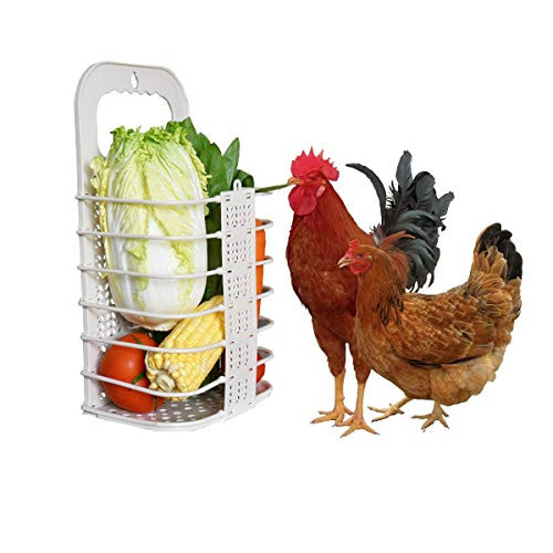 Chicken Vegetable Basket Chicken Veggie Ball Fruit Veggie Hanging Feeder Toy for Hens Chicken Coop Toys for Hens White Chicken Vegetable Basket Chicken Veggie Ball Fruit Veggie Hanging Feeder Toy for Hens Chicken Coop Toys for Hens White