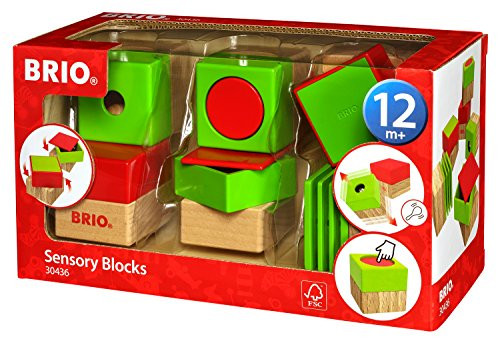 Brio Sensory Blocks Preschool Toy Brio Sensory Blocks Preschool Toy