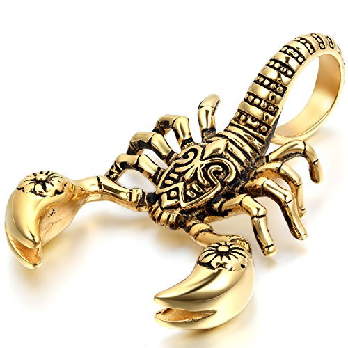 OIDEA Stainless Steel Bikers Gothic Scorpion Pendant Necklace for BikerGoldSilver22 Inch Chain Included OIDEA Stainless Steel Bikers Gothic Scorpion Pendant Necklace for BikerGoldSilver22 Inch Chain Included