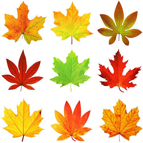 45 Pieces Maple Leaves CutOuts Autumn Theme CutOuts Fall Leaf Accents with Glue Point Dots for Bulletin Board Classroom School Thanksgiving Party Decoration 59 x 59 Inch