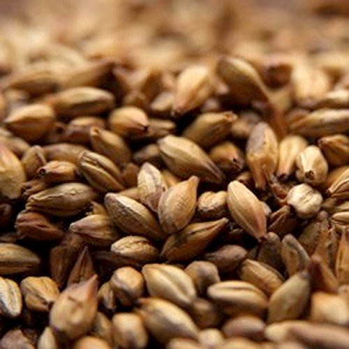 Chateau Special B Malt 1 Lb