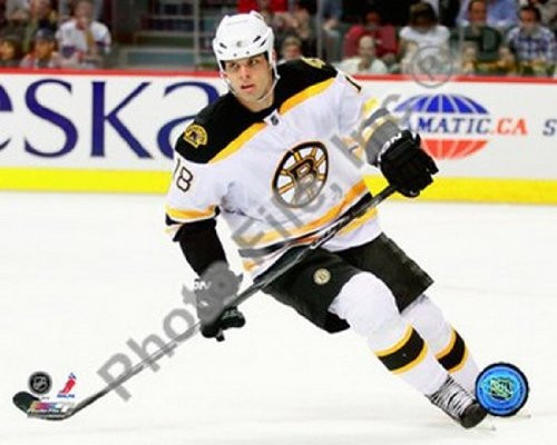 Nathan Horton Boston Bruins 201011 NHL Hockey Action Photo Print 8 x 10