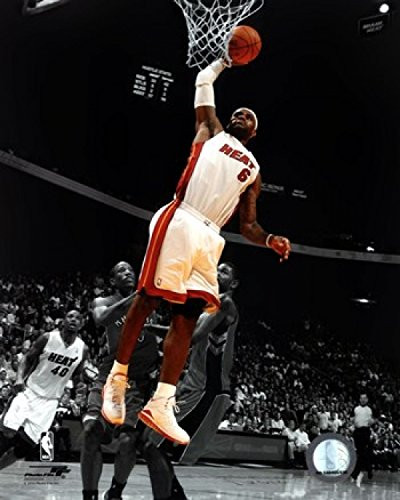 Lebron James 201011 Spotlight Action Photo Print 8 x 10