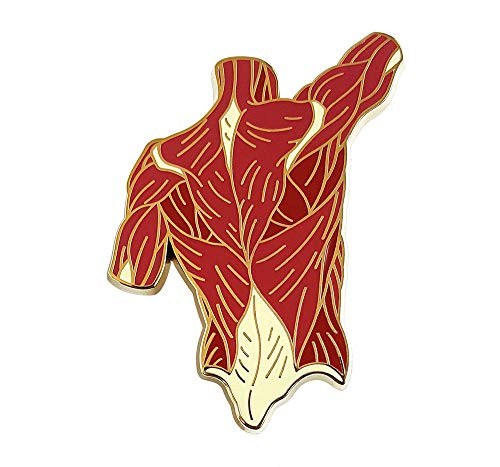Pinsanity Back Torso Muscle Anatomy Enamel Lapel Pin