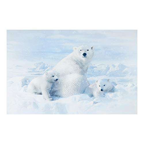 Hoffman Fabrics Digital Call Of The Wild 30 Polar Bear Panel Snow Fabric Multi