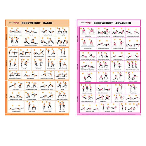 SPORTAXISNo Equipment Laminated Bodyweight Workout Posters with Coloured IllustrationsHome Workout Poster for Men and WomenBasic and Advanced Home Training Wall Posters 18x 27  PACK OF 2