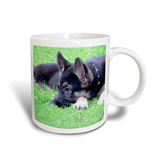 3dRose mug_201547_2 "German Shepherd Puppy" Ceramic Mug, 15 oz