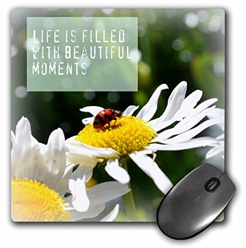 3dRose LLC 8 x 8 x 0.25 Inches Mouse Pad, Beautiful Moments Ladybug and Daisy Flowers Inspirational (mp_31427_1)