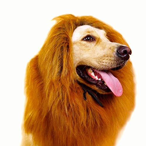 The Lion King Mane Dog Costume  Lion Wig with Tail for Medium to Big Dog  Great Fun Cosplay Costumes Blonde