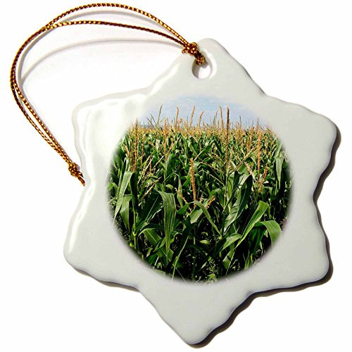 3dRose orn_44769_1 Cornfield N Blue Skies-Snowflake Ornament, Porcelain, 3-Inch