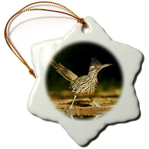 3dRose ORN_146658_1 Greater Roadrunner Bird, Texas, USA Us44 Ldi0515 Larry Ditto Snowflake Ornament, Porcelain, 3-Inch 3dRose ORN_146658_1 Greater Roadrunner Bird, Texas, USA Us44 Ldi0515 Larry Ditto Snowflake Ornament, Porcelain, 3-Inch