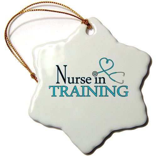 3dRose ORN_172127_1 Nursein Training Pink Heart Stethoscope Snowflake Ornament, Porcelain, 3-Inch