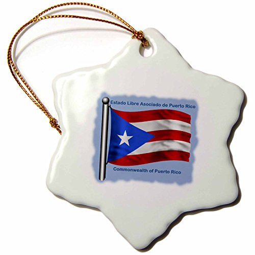 3dRose orn_55484_1 The Flag of Puerto Rico Waving on a Blue Background Snowflake Porcelain Ornament, 3-Inch