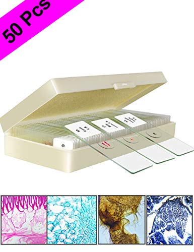 50 Pcs Microscope Slides Prepared for Kids Students Biology Nature Science Learning Home School Lab Demonstration