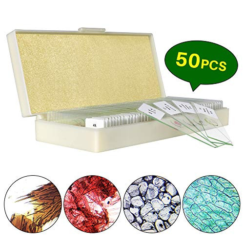 Microscope Slides Prepared Lab Specimens Set50 PCS Collection Biology Sample with Insects Plants Animals for Students Kids Home School Science Learning