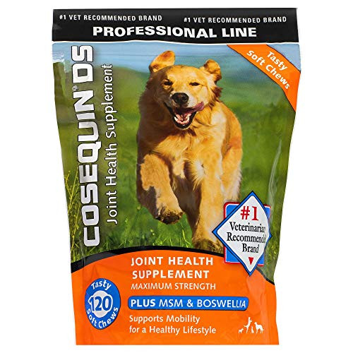 Cosequin DS Maximum Strength Plus MSM  Boswellia Joint Health for Dogs Tasty Soft Chews 120 Count