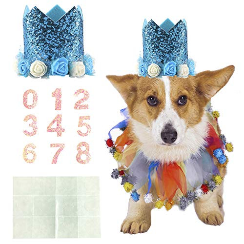 Coomour Dog Birthday Collar Pet Funny Tutu Costume with Birthday Crown Hat for Cat Puppy Party Supplies SmallBlue