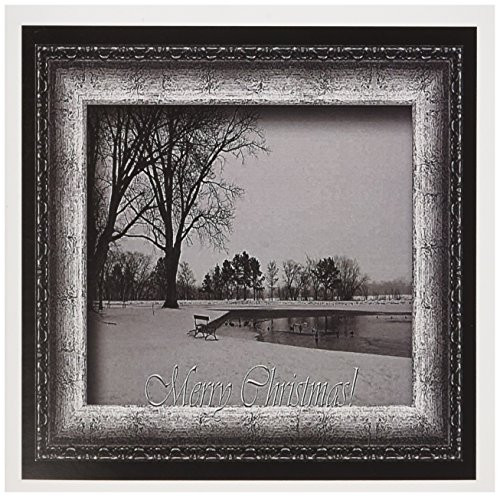 3dRose Winter Park Merry Christmas - Greeting Cards, 6 x 6 inches, set of 12 (gc_27321_2) 3dRose Winter Park Merry Christmas - Greeting Cards, 6 x 6 inches, set of 12 (gc_27321_2)