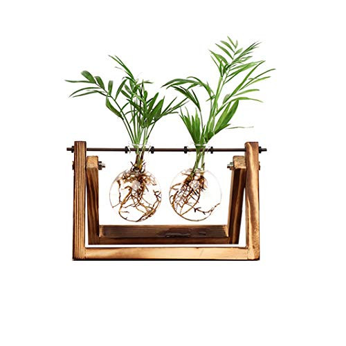 Ivolador Desktop Glass Planter Bulb Plant Terrarium with Retro Solid Wooden Stand and Metal Swivel Holder for Hydroponics Plants Home Garden Wedding Decor 2 Bulb Vase