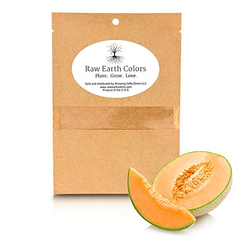 Cantaloupe Seeds for Planting Home Garden  100 Heirloom Seeds  Hales Best Jumbo Cantaloupe Cantaloupe Seeds for Planting Home Garden  100 Heirloom Seeds  Hales Best Jumbo Cantaloupe