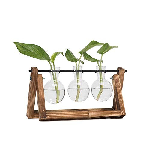 HYINDOOR Desktop Plant Terrarium Glass Planter Bulb Vase with Retro Solid Wooden Stand and Metal Swivel Holder for Hydroponics Plants Home Garden Wedding Decor