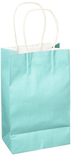 Amscan Solid Kraft Bag Small  12 Ct  Robin segg Blue