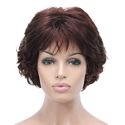 Aimole Short Curly Synthetic Wigs Full Capless Hair Women s Thick Wig for Everyday 33H350