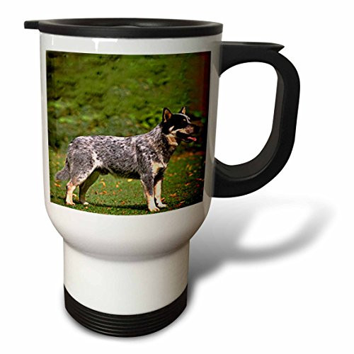 3dRose Australian Cattle Dog Travel Mug 14Ounce