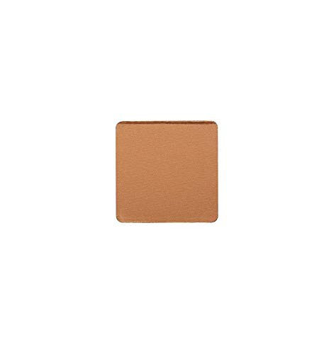 Trish McEvoy Eyeshadow  Hazelnut 0 05oz 1 5g