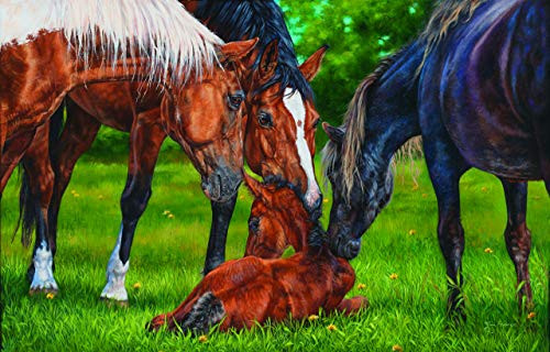 A Welcome New Arrival 1000 Piece Jigsaw Puzzle by SunsOut