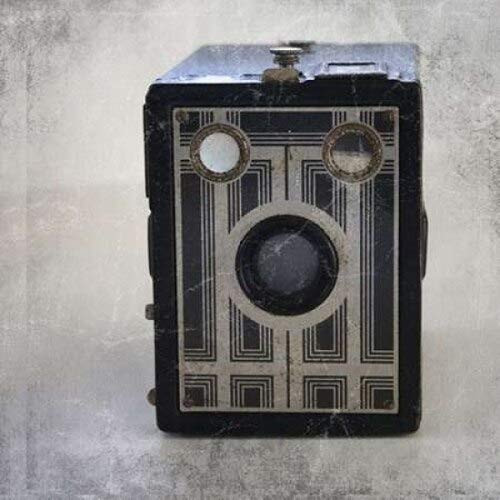 Posterazzi Brownie Junior I Poster Print by Linda Woods 12 x 12