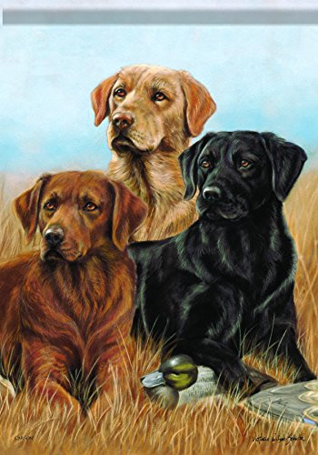 Carson Home Accents Flagtrends Classic Garden Flag Dogs The Pros