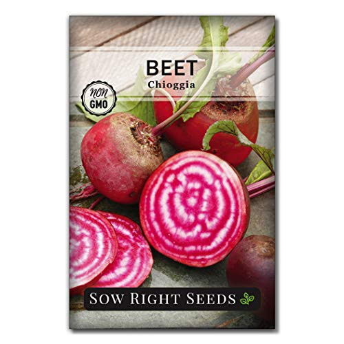 Sow Right Seeds  Chioggia Beet Seed for Planting  NonGMO Heirloom Packet with Instructions to Plant a Home Vegetable Garden  Great Gardening Gift 1