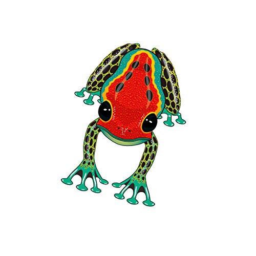WindnSun Rainforest DartFrog Nylon Kite-44 Inches Tall