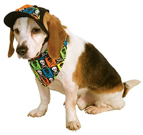 Rubie s Costume 888612ML Co Pet Neon Accessory Set Medium/Large