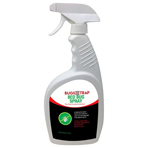 Bed Bug Killer Spray | All Natural, Non-Oily & Nontoxic Formula in an Ergonomic Bottle | Eradicates Eggs, Larvae, Bugs, Nymphs & Adult Bugs On Contact | Safe for Family, Pets & Kids