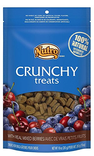 Nutro Crunchy Dog Treats with Real Mixed Berries 10oz  2 pack