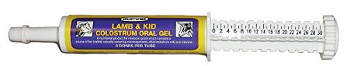 Durvet 698308 Oral Colostrum Gel for Lamb  Kids 30ml