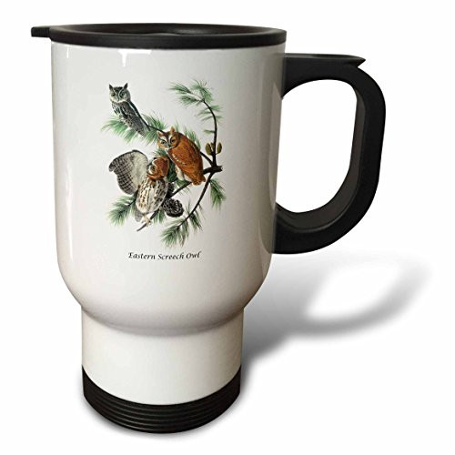 3dRose Eastern Screech Owl by John James Audubon Travel Mug 14 oz Multicolor 3dRose Eastern Screech Owl by John James Audubon Travel Mug 14 oz Multicolor