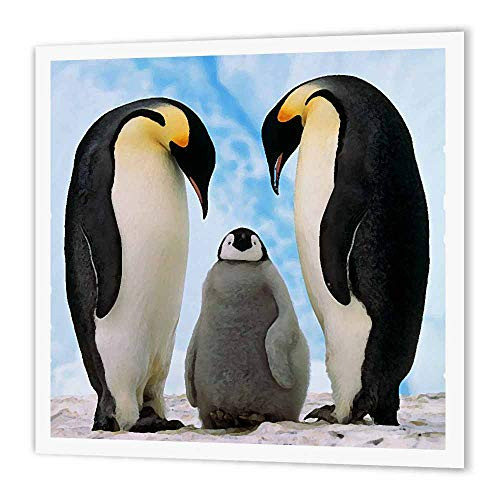 3dRose ht41801 Emperor Penguin Family Iron on Heat Transfer for White Material 8 by 8Inch