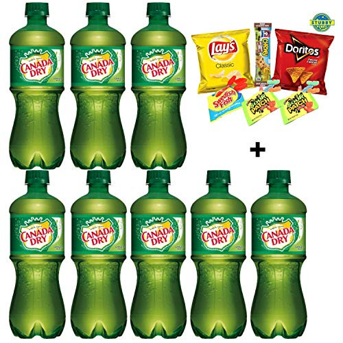 Canada Dry Ginger Ale 20 oz Bottle Pack of 8 Total of 160 Oz with FREE Stubby Pubby Care Package Snack Chips  Candy Mix for SchoolsFriends  Family MilitaryCollege Office Meetings