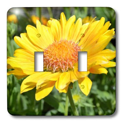 3dRose lsp_22709_2 Yellow Flower Double Toggle Switch