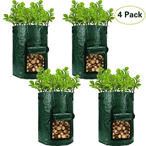Potato Grow Bags 10 Gallon Plant Growing Bag for Vegetables Tomato Carrot Onion Fruits Potatoes Garden Growing Containers Ventilated Plants Planting Bag with Handles 4 Pack Potato Grow Bags 10 Gallon Plant Growing Bag for Vegetables Tomato Carrot Onion Fruits Potatoes Garden Growing Containers Ventilated Plants Planting Bag with Handles 4 Pack