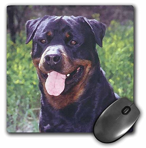 3dRose LLC 8 x 8 x 0.25 Inches Rottweiler Mouse Pad (mp_4369_1) 3dRose LLC 8 x 8 x 0.25 Inches Rottweiler Mouse Pad (mp_4369_1)