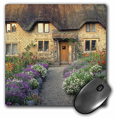 3dRose LLC 8 x 8 x 0.25 Inches Mouse Pad, Ric Ergenbright (mp_82787_1)