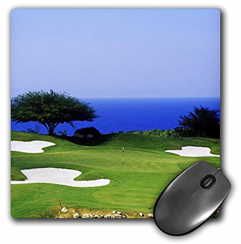 3dRose LLC 8 x 8 x 0.25 Inches Mouse Pad, Greg Johnston (mp_72383_1)